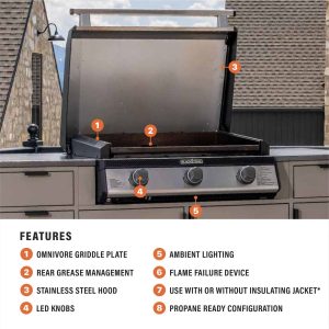 28" Drop-in Griddle with Hood (Propane)