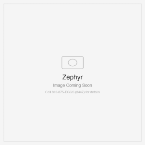 Zephyr Titan Wall 54" TruHue