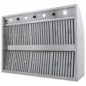Blaze 42-Inch 1000 CFM Stainless Steel Outdoor Vent Hood (2026 Model)