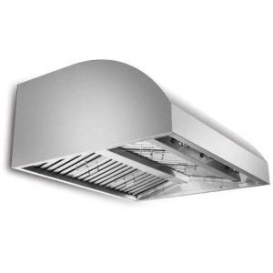 Blaze 42" Outdoor Wall Vent Hood