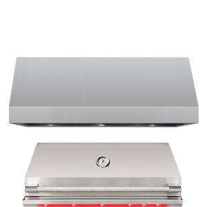 TrueFlame 42" Outdoor Vent Hood - 2000 CFM