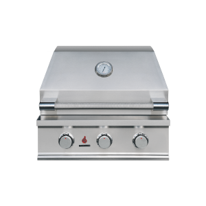 TrueFlame TFE25L