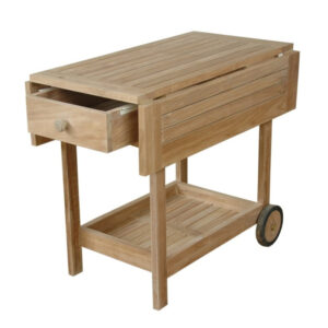 Outdoor Teak Cart - Danica